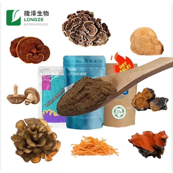Mushroom Powder Manufacturer - Customized Agaricus Chaga Blend