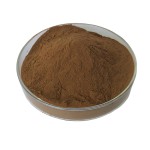 Bacopa Extract Supplier - 50% Bacopasides Monnieri Powder