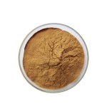 Rhodiola Extract Factory - Rosea Root Extract Bulk