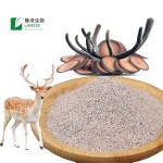 Deer Antler Extract Supplier - 4:1 10:1 20:1 Velvet Powder