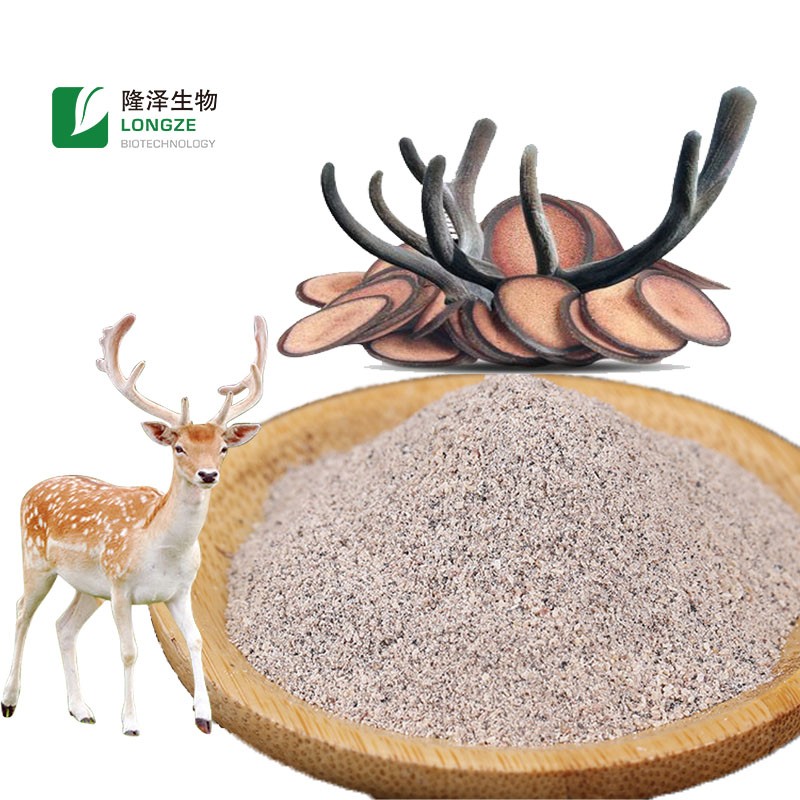 Deer Antler Extract Supplier - 4:1 10:1 20:1 Velvet Powder