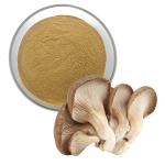 Oyster Mushroom Extract Supplier - Organic Pleurotus Ostreatus Powder