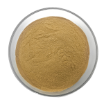 Oyster Mushroom Extract Supplier - Organic Pleurotus Ostreatus Powder