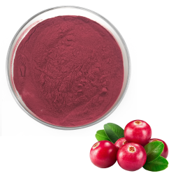 Cranberry Extract Factory - 25% Anthocyanidin Powder
