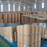 Lemon Powder Manufacturer - Fruit Powder Juice Powder OEM