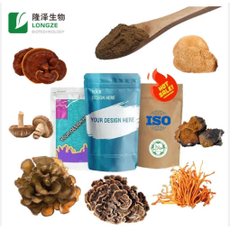 Lions Mane Powder Manufacturer - Mushroom Extract Hericium