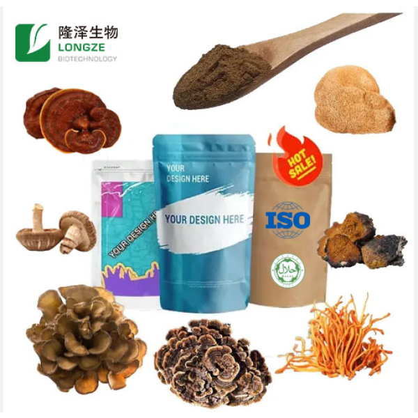 Lions Mane Powder Manufacturer - Mushroom Extract Hericium