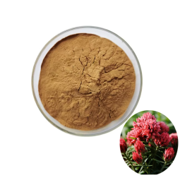 Rhodiola Extract Factory - Rosea Root Extract Bulk