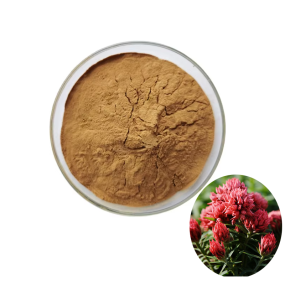 Rhodiola Extract Factory - Rosea Root Extract Bulk