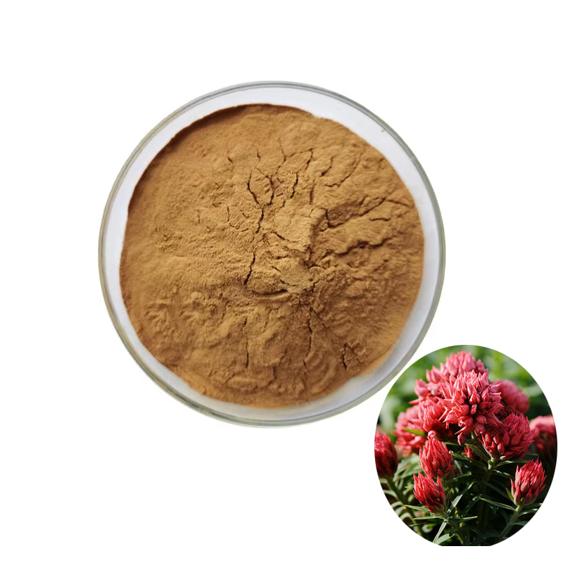 Rhodiola Extract Factory - Rosea Root Extract Bulk
