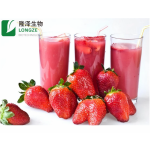 Fruit Extract Powder Supplier - CGMP Standard Bulk Instant Juice
