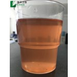 Black Carrot Extract Factory - Wild Fruit Juice Powder Bulk