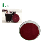 Beet Root Extract Factory - Betalain Red Colorants Powder