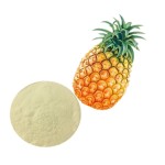 Pineapple Extract Manufacturer - Natural Fruit Powder Light