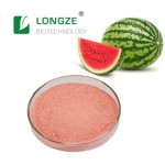 Watermelon Powder Supplier - Food Grade Natural Wild Cultivated