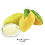 Mango Juice Powder Supplier - Freeze Dried Natural Glass Container