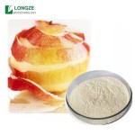 Apple Juice Powder Manufacturer - 100% Pure Pressed Concentrate