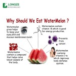 Watermelon Powder Supplier - Food Grade Natural Wild Cultivated