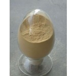African Mango Extract Supplier - Seed Extract Powder Slimming