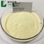 Pineapple Extract Manufacturer - Natural Fruit Powder Light