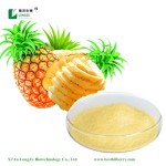 Pineapple Extract Manufacturer - Natural Fruit Powder Light