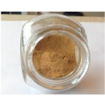 African Mango Extract Supplier - Seed Extract Powder Slimming