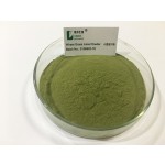 Barley Grass Powder Manufacturer - Water Soluble Good Quality