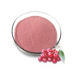 Tart Cherry Extract Supplier - Juice Powder Fruit Powder