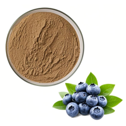 Blueberry Powder Manufacturer - Food Grade Extract Powder Bulk