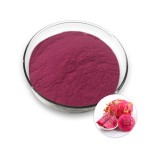 Dragon Fruit Powder Supplier - Water Soluble Pink Pitaya