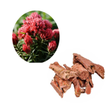Rhodiola Extract Factory - Rosea Root Extract Bulk