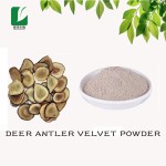 Deer Antler Extract Supplier - 4:1 10:1 20:1 Velvet Powder