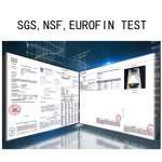 Actinidia Extract Supplier - Chinensis Fruit Powder Health