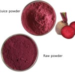 Beet Root Extract Factory - Betalain Red Colorants Powder