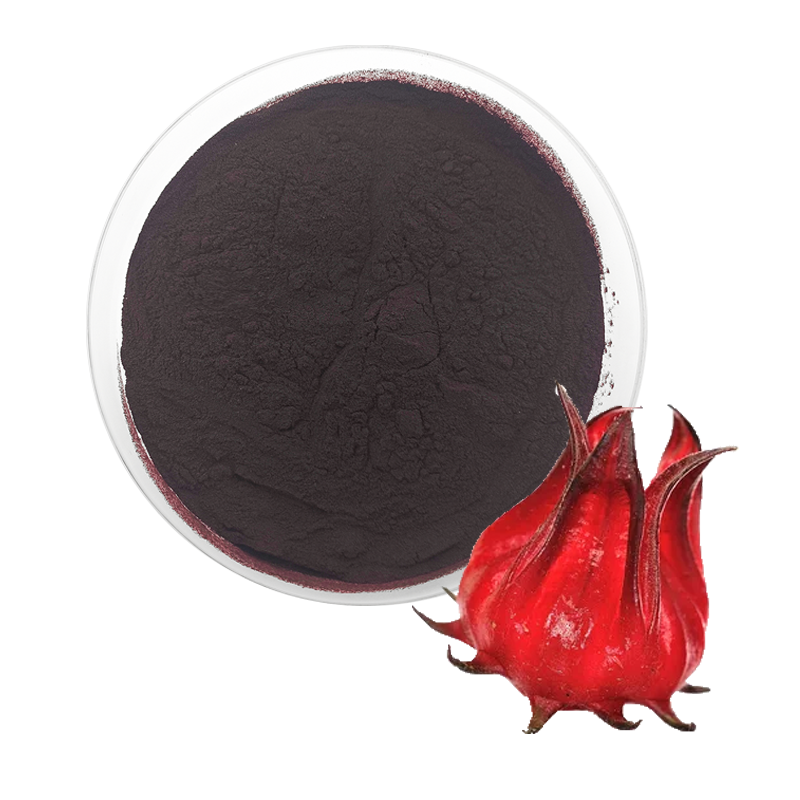 Hibiscus Extract Factory - 1%-25% Anthocyanidin Flower