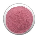 Acai Powder Supplier - NOP EU Organic Berry Powder
