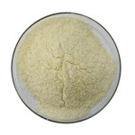 Garcinia Cambogia Powder Factory - Extract Capsule HCA