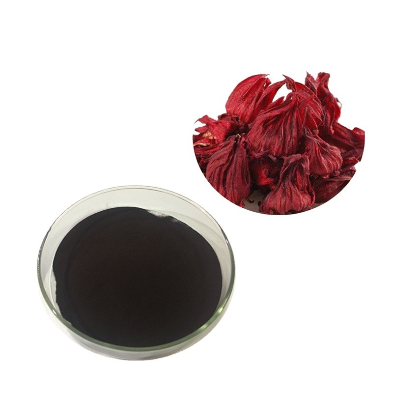 Hibiscus Extract Factory - Anthocyanidins Roselle Powder