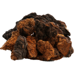 Chaga Mushroom Extract Factory - Fruiting Body Bulk Supply