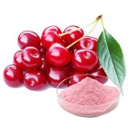 Tart Cherry Extract Supplier - Juice Powder Fruit Powder