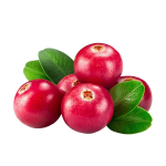 Cranberry Extract Manufacturer - PAC 5%-60% Proanthocyanidins