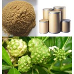 Noni Fruit Powder Factory - Water Soluble Organic Raw Material