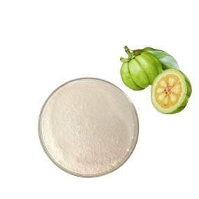 Garcinia Extract Manufacturer - 50% HCA Natural Fitness