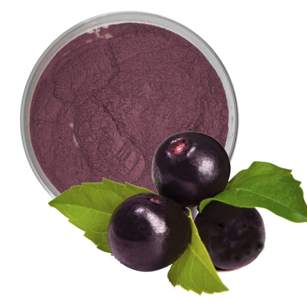 Acai Berry Powder Factory - Freeze Dried Berry Powder Bulk
