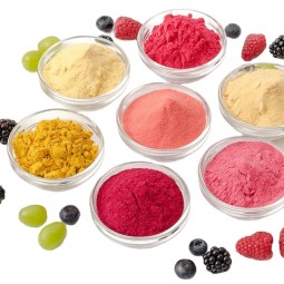 Freeze Dried Powder Factory - Fruit Vegetable Super Food Blend
