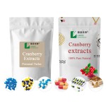 Cranberry Extract Factory - 25% Anthocyanidin Powder