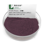 Purple Potato Extract Factory - 5%-10% Anthocyanin Sweet
