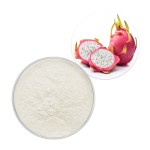 Dragon Fruit Powder Supplier - Water Soluble Pink Pitaya