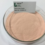 Black Carrot Extract Factory - Wild Fruit Juice Powder Bulk