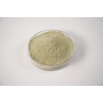 Spinach Powder Supplier - Organic Green Vegetable Extract